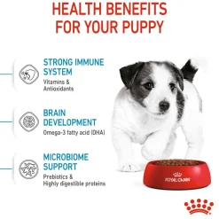 Royal Canin Mini Puppy Dry Dog Food