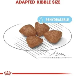 Royal Canin Mini Starter Mother & Puppy Dry Food