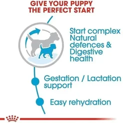 Royal Canin Mini Starter Mother & Puppy Dry Food