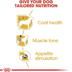 Royal Canin Poodle Dry Food For Adult Dog - 1.5 kg