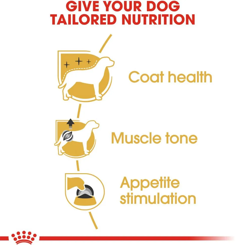 Royal Canin Poodle Dry Food For Adult Dog - 1.5 kg
