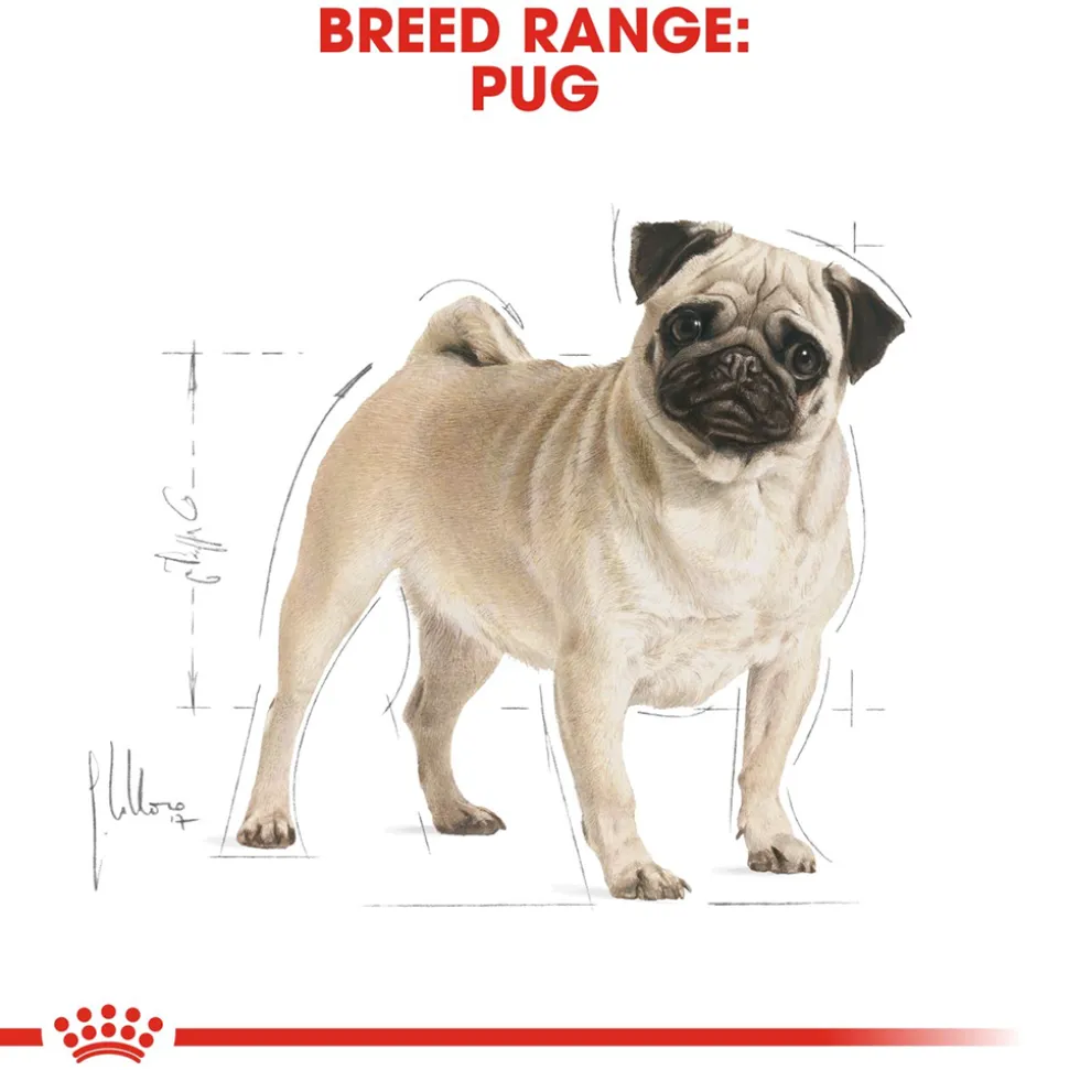 Royal Canin Pug Adult Dry Dog Food