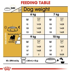 Royal Canin Pug Adult Dry Dog Food