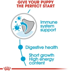 Royal Canin Puppy Medium Wet Puppy Food - 140 g