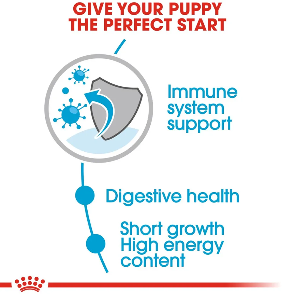 Royal Canin Puppy Medium Wet Puppy Food - 140 g