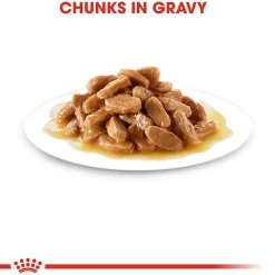 Royal Canin Puppy Medium Wet Puppy Food - 140 g
