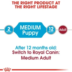 Royal Canin Puppy Medium Wet Puppy Food - 140 g