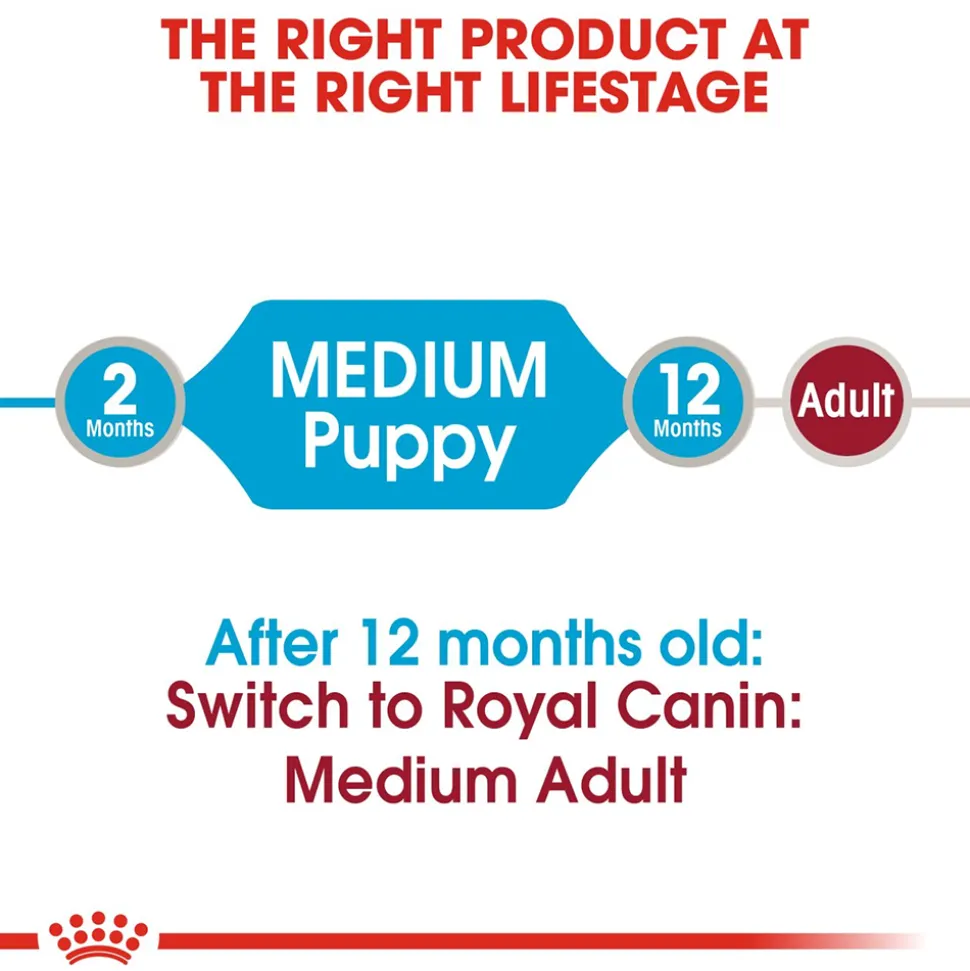 Royal Canin Puppy Medium Wet Puppy Food - 140 g