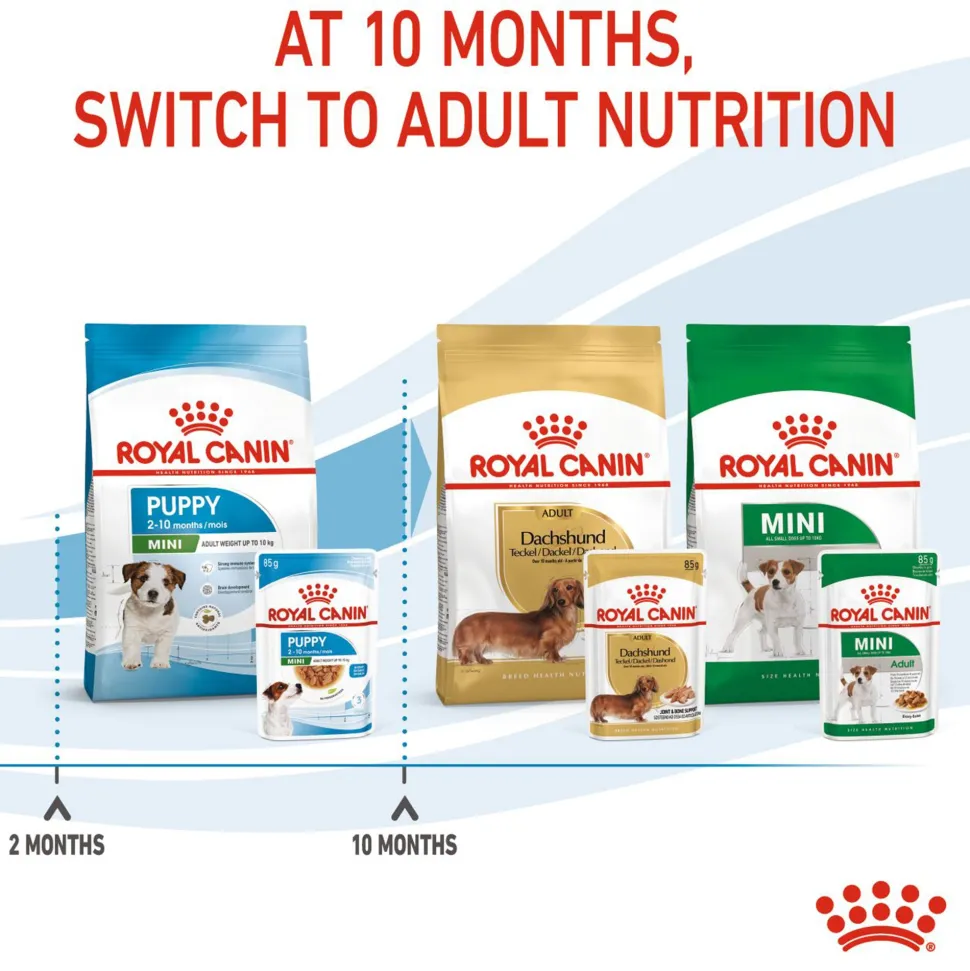 Royal Canin Puppy Mini Wet Puppy Food (1-10kg) - 85 g packs