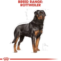 Royal Canin Rottweiler Adult Dry Dog Food