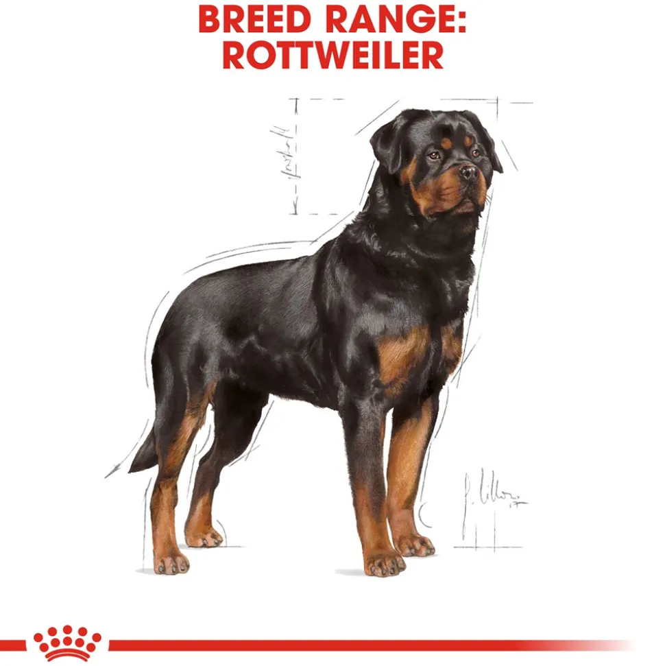 Royal Canin Rottweiler Adult Dry Dog Food