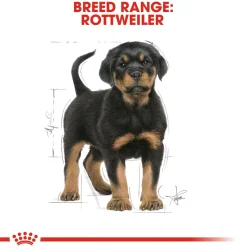 Royal Canin Rottweiler Puppy Dry Dog Food