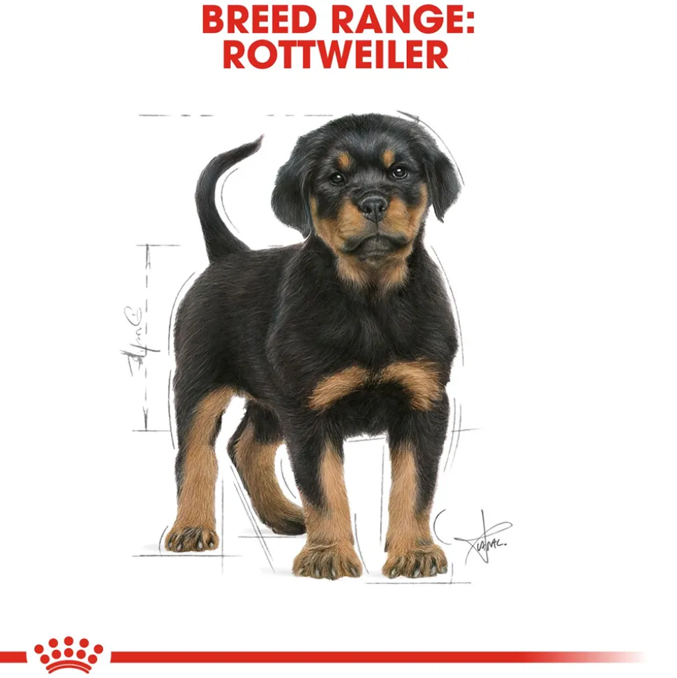 Royal Canin Rottweiler Puppy Dry Dog Food