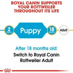 Royal Canin Rottweiler Puppy Dry Dog Food