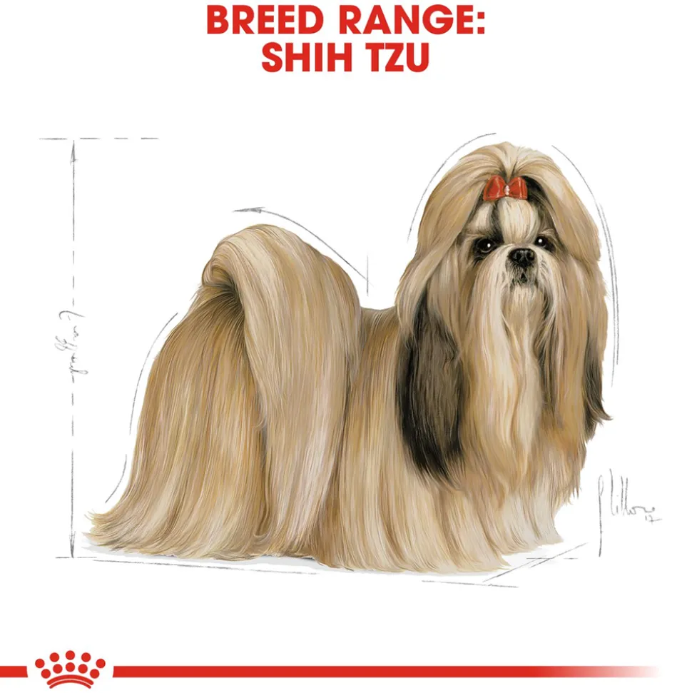 Royal Canin Shih Tzu Adult Dry Dog Food