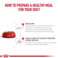 Royal Canin Veterinary Anallergenic Dry Food For Dog