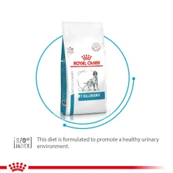 Royal Canin Veterinary Anallergenic Dry Food For Dog