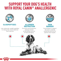 Royal Canin Veterinary Anallergenic Dry Food For Dog