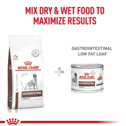 Royal Canin Veterinary Diet Low Fat Gastrointestinal Dry Food For Dog - 1.5 Kg