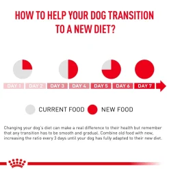 Royal Canin Veterinary Diet Renal Adult Dry Dog Food - 7 kg