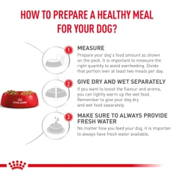 Royal Canin Veterinary Diet Renal Adult Dry Dog Food - 7 kg