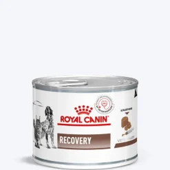 Royal Canin Veterinary Diet Recovery Canines & Felines Wet Food For Dog & Cat - 195 g