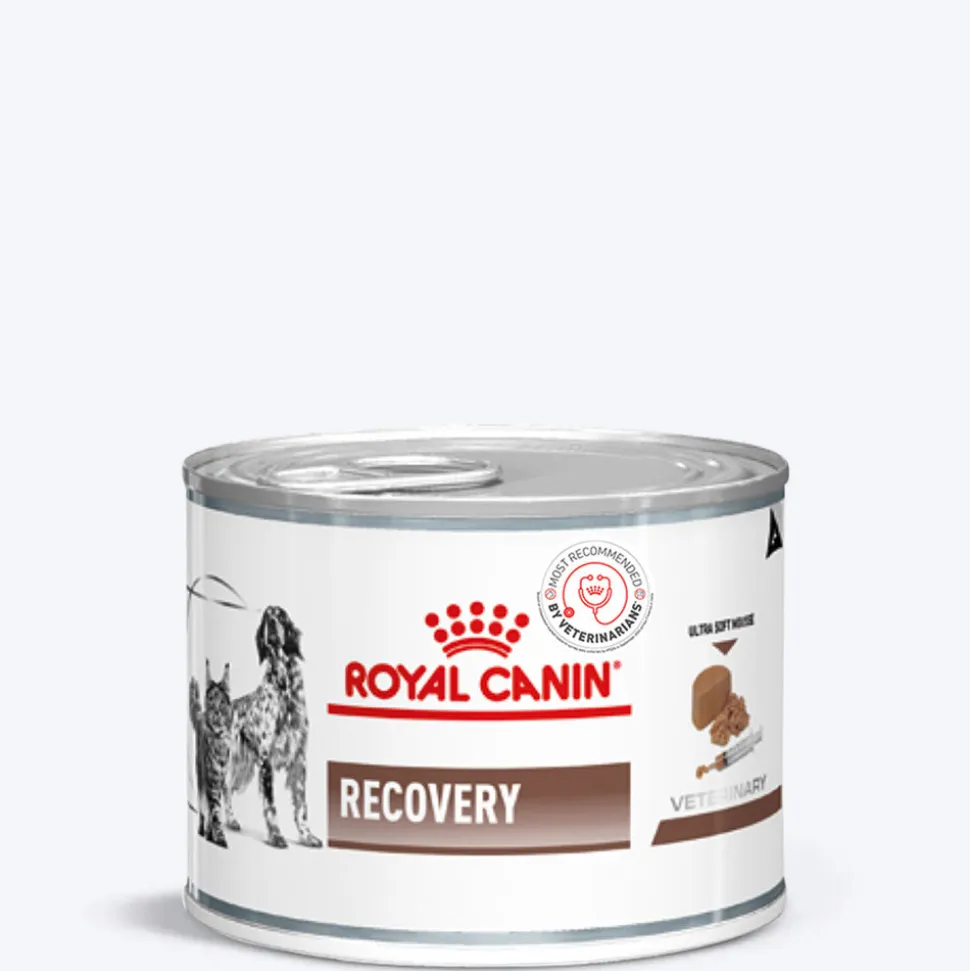 Royal Canin Veterinary Diet Recovery Canines & Felines Wet Food For Dog & Cat - 195 g