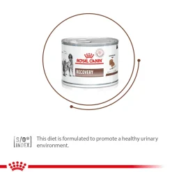 Royal Canin Veterinary Diet Recovery Canines & Felines Wet Food For Dog & Cat - 195 g