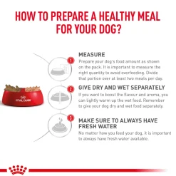 Royal Canin Veterinary Diet Satiety Weight Management Dry Food For Dog