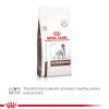 Royal Canin Veterinary Gastrointestinal Dry Food For Dog - 2 Kg