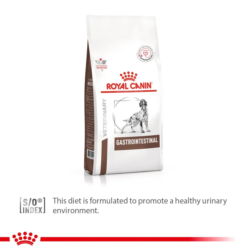 Royal Canin Veterinary Gastrointestinal Dry Food For Dog - 2 Kg
