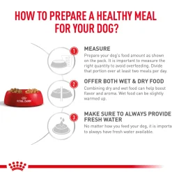 Royal Canin Veterinary Gastrointestinal Dry Food For Dog - 2 Kg
