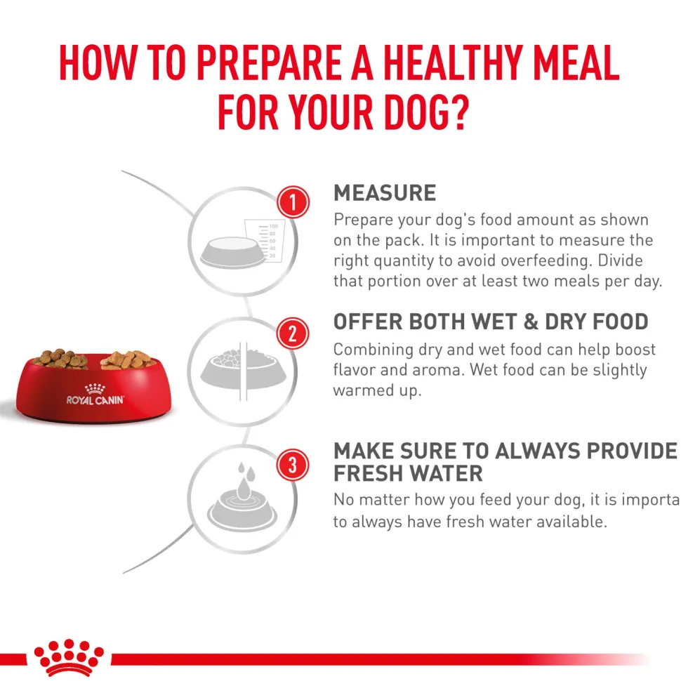 Royal Canin Veterinary Gastrointestinal Dry Food For Dog - 2 Kg