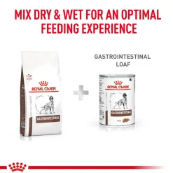 Royal Canin Veterinary Gastrointestinal Dry Food For Dog - 2 Kg