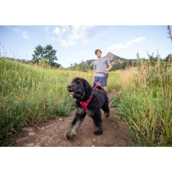 Ruffwear Front Range Dog Harness - Huckleberry Blue