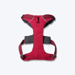 Ruffwear Front Range Dog Harness - Red Sumac