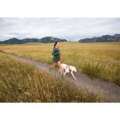 Ruffwear Front Range Dog Harness - Campfire Orange