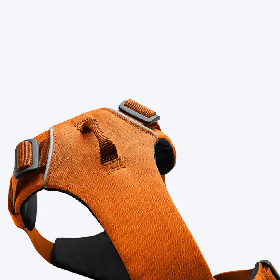 Ruffwear Front Range Dog Harness - Campfire Orange
