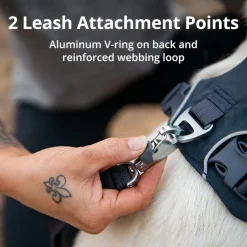 Ruffwear Front Range Harness For Dog - Basalt Grey