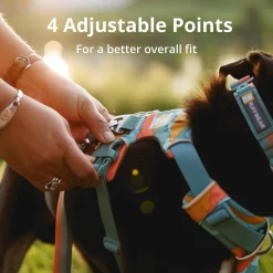 Ruffwear Front Range Harness For Dog - Basalt Grey