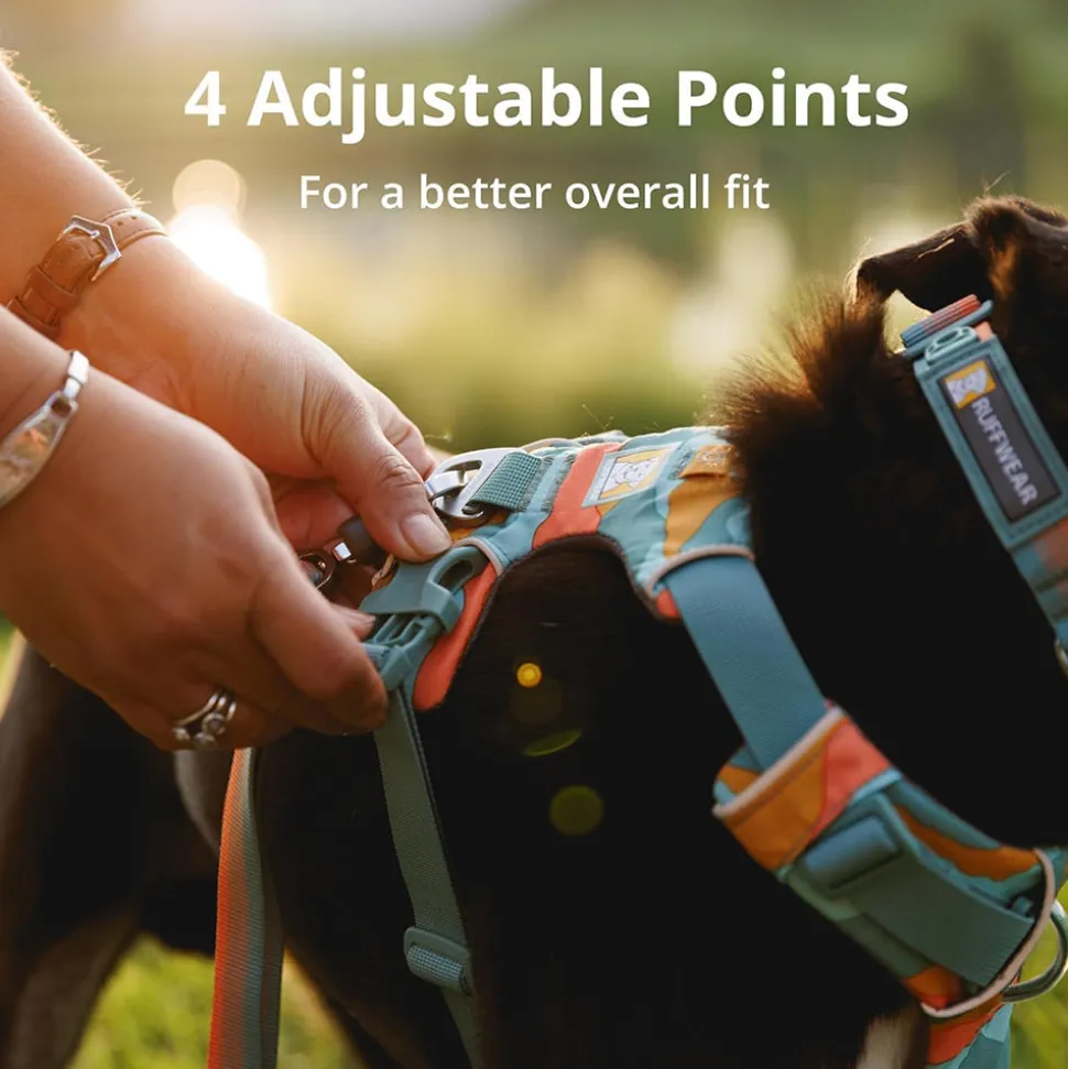 Ruffwear Front Range Harness For Dog - Basalt Grey