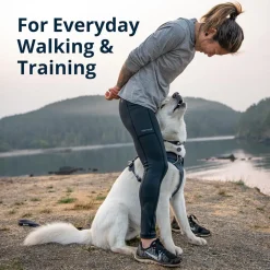 Ruffwear Front Range Harness For Dog - Basalt Grey