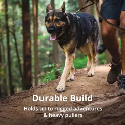 Ruffwear Front Range Harness For Dog - Basalt Grey