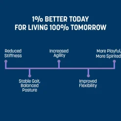 Sara's Boosters Bone & Joint Mobility Supplement For Dogs - 100 g