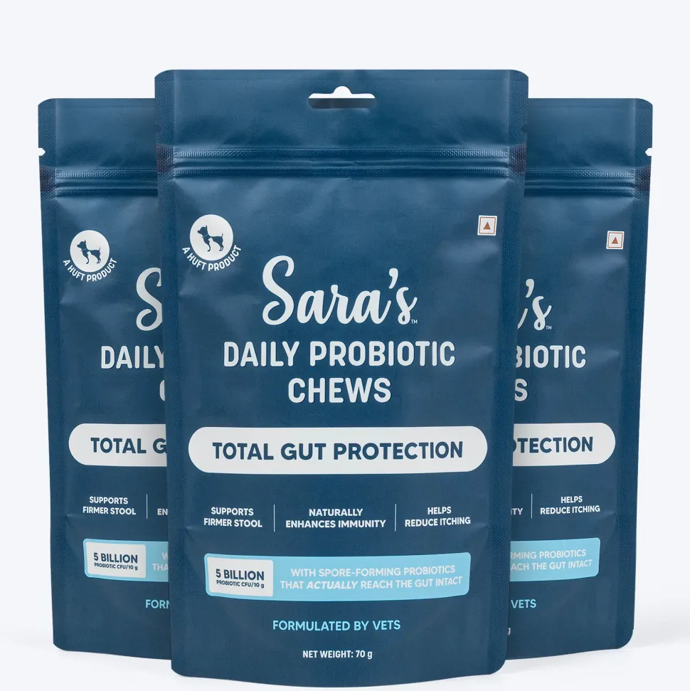 Sara's Daily Probiotic Chews: Gut & Digestive Support - 70 g