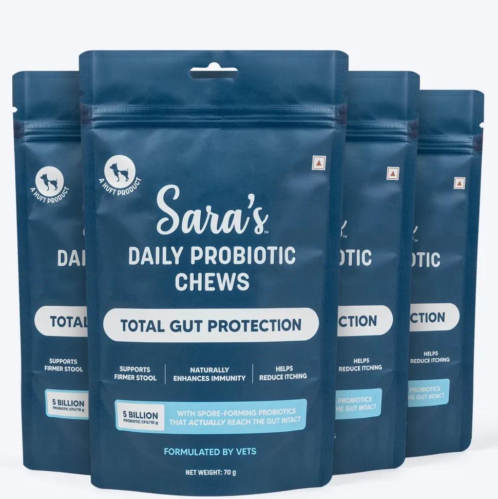 Sara's Daily Probiotic Chews: Gut & Digestive Support - 70 g