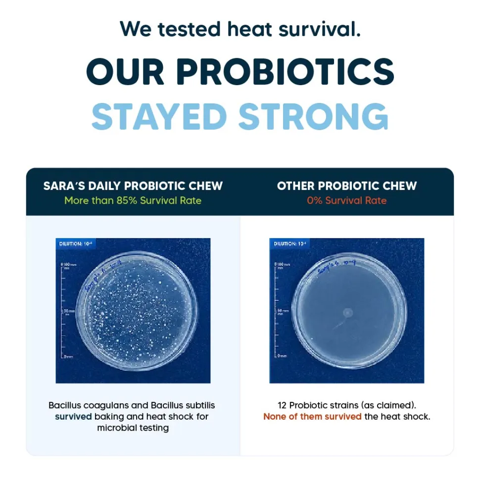 Sara's Daily Probiotic Chews: Gut & Digestive Support - 70 g
