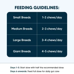 Sara's Daily Probiotic Chews: Gut & Digestive Support - 70 g