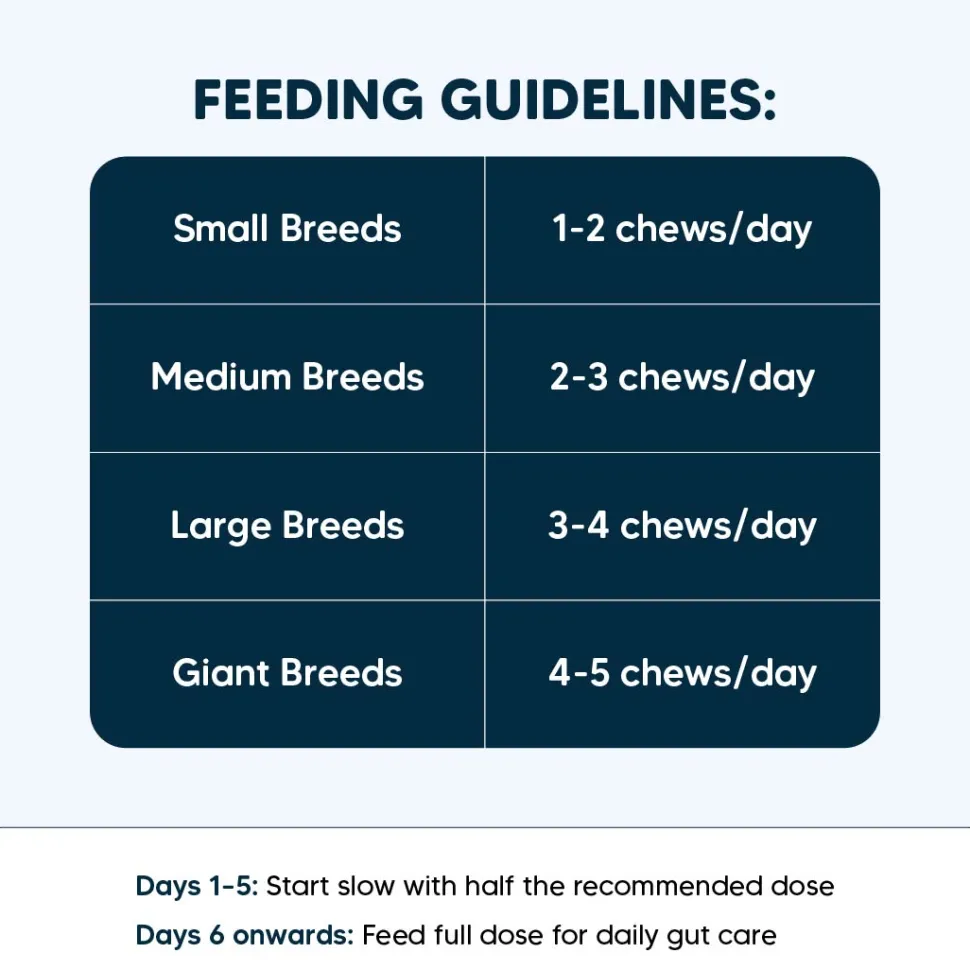 Sara's Daily Probiotic Chews: Gut & Digestive Support - 70 g