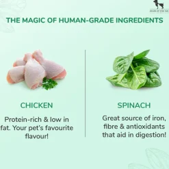 Sara's Chicken Jerky with Spinach Dog Treats Grain-Free 70g